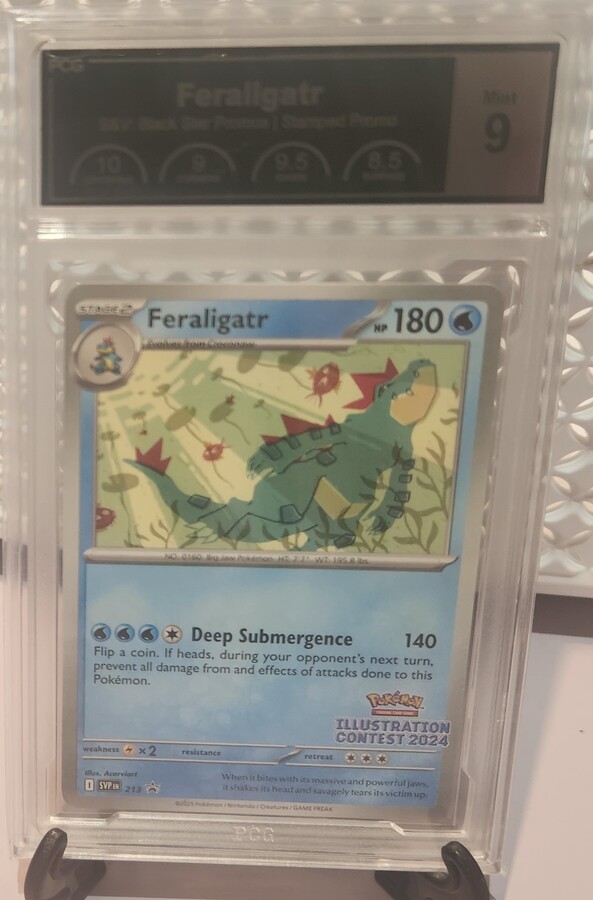 Pokemon TCG: Feraligatr 213 Black Star Promo Card PCG Mint 9 Graded
