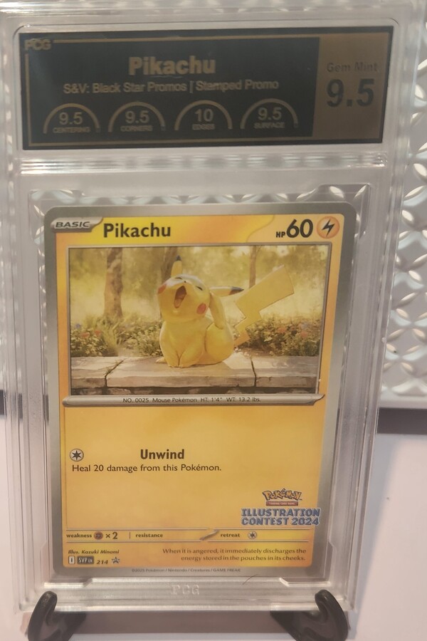 Pokemon TCG: Pikachu 214 Black Star Promo Card PCG Gem Mint 9.5 Graded