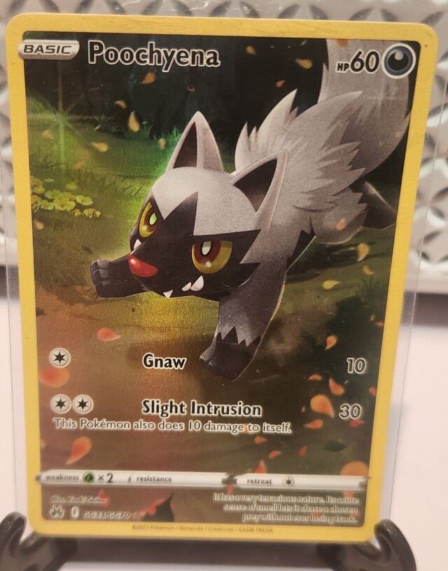 Pokemon TCG: Poochyena GG33/GG70 Crown Zenith