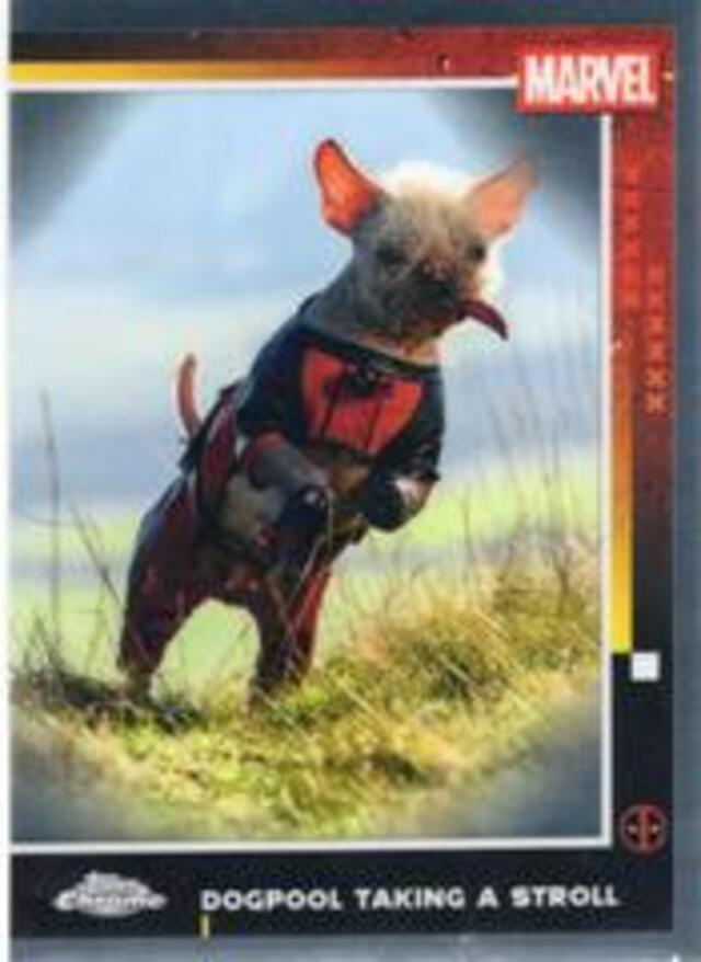 Topps Deadpool: Chrome 2025 - Dogpool Taking A Stroll #73