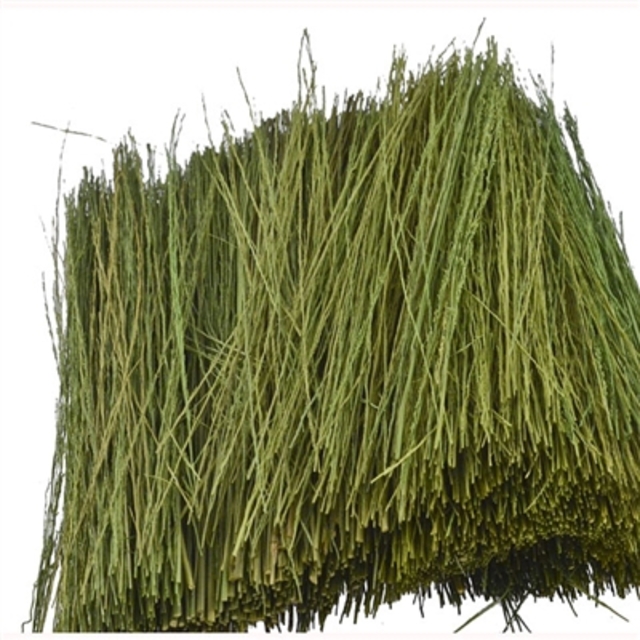 JTT 95086 JTT Scenery FIELD GRASS, Light Green, Bag 15g