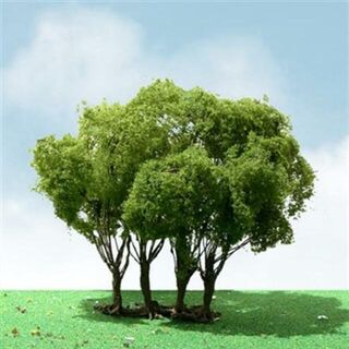 Trees