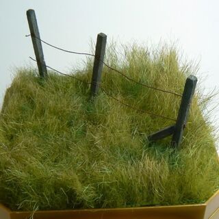 Foliage, Grass and Turf