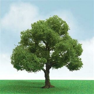 JTT Scenery PRO-ELITE TREES: ELDER 3