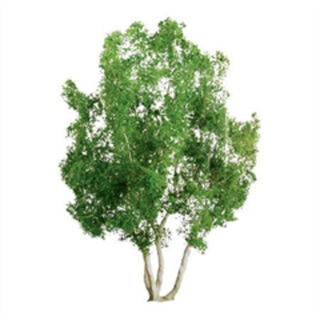 JTT Scenery 75-85mm Snow Gum Trees (2 Pack)