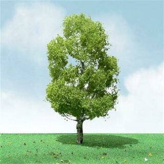 JTT Scenery PRO-ELITE TREES: BIRCH 2