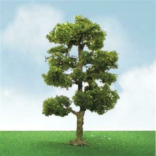 JTT Scenery PRO-ELITE TREES: DOWNY BIRCH 2