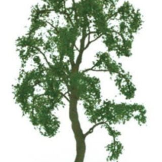 JTT Scenery Birch Trees 200 (1 Pack)