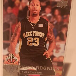2009-10 Upper Deck Star Rookies James Johnson Chicago Bulls 219