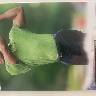 2023 Upper Deck Goodwin Champions 2 Tiger Woods Golf High Gloss