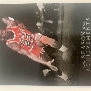 2007-08 Fleer Michael Jordan Season Achievements #SH41 Chicago Bulls