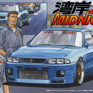 Nissan Skyline GTR R33 RGO Kitset Fujimi 1/24