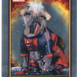 Topps Deadpool: Chrome 2025 - Dogpool #28