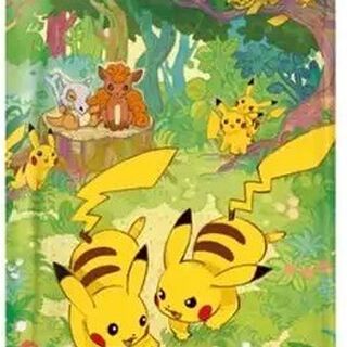 Pokemon TCG S-Chinese Collect 151C 4.0 Gather Slim Booster Pack