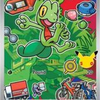Pokemon TCG: Treecko #55 Pokemon Promo
